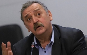 Мушичките куликуидес пренасят шамонда
