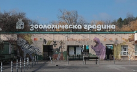 Работещите в Зоопарка на безсрочен протест
